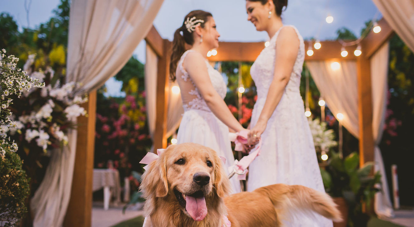 Foto de Vivian Gradela 5 Foto de Vivian Gradela 5